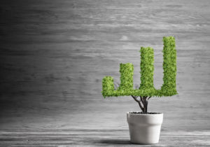 Sales & marketing
