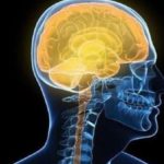 Déchaînez votre cerveau & gérez votre stress